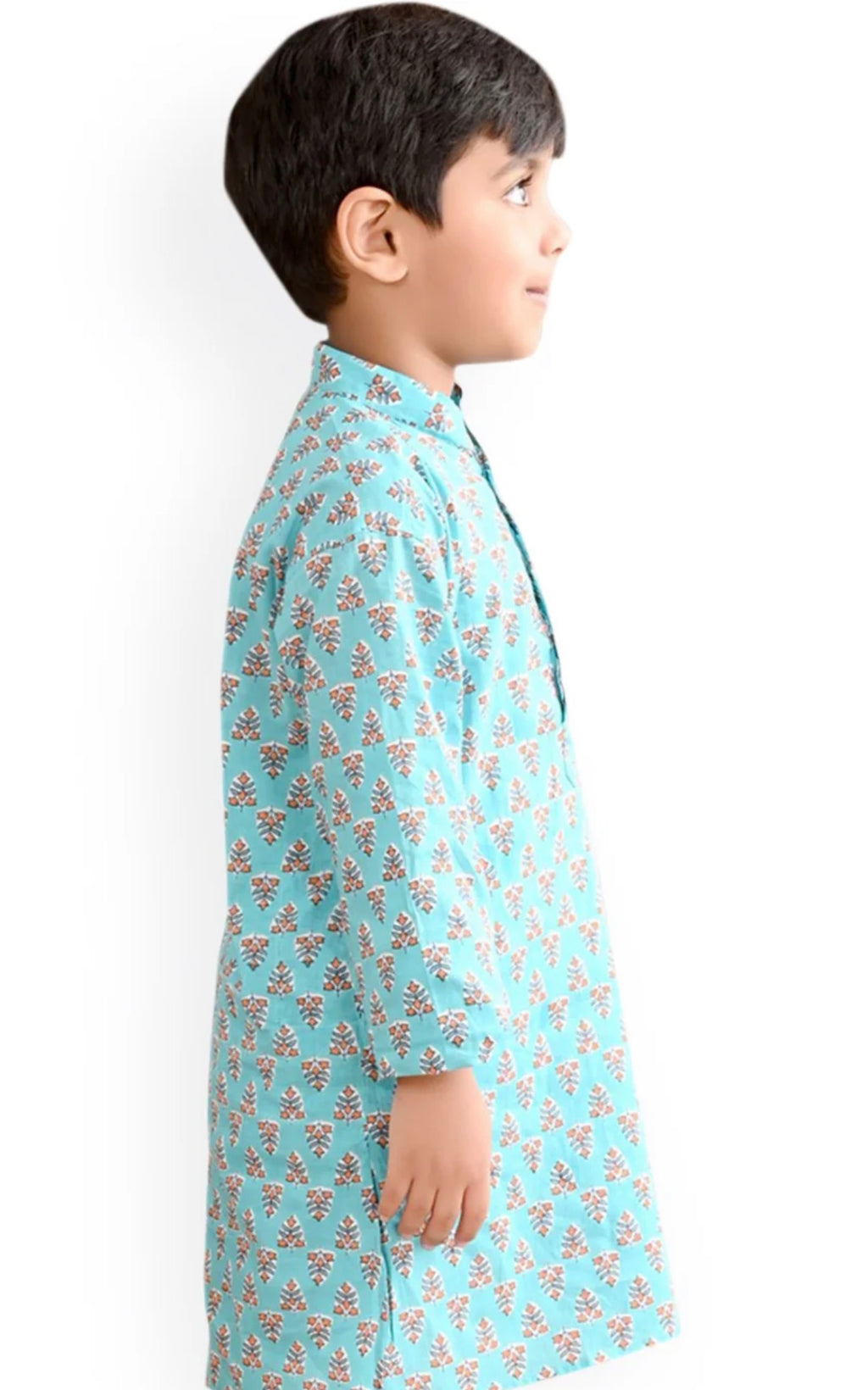 Blue Boys Ethnic Motifs Printed Mandarin Collar Cotton Straight Kurta