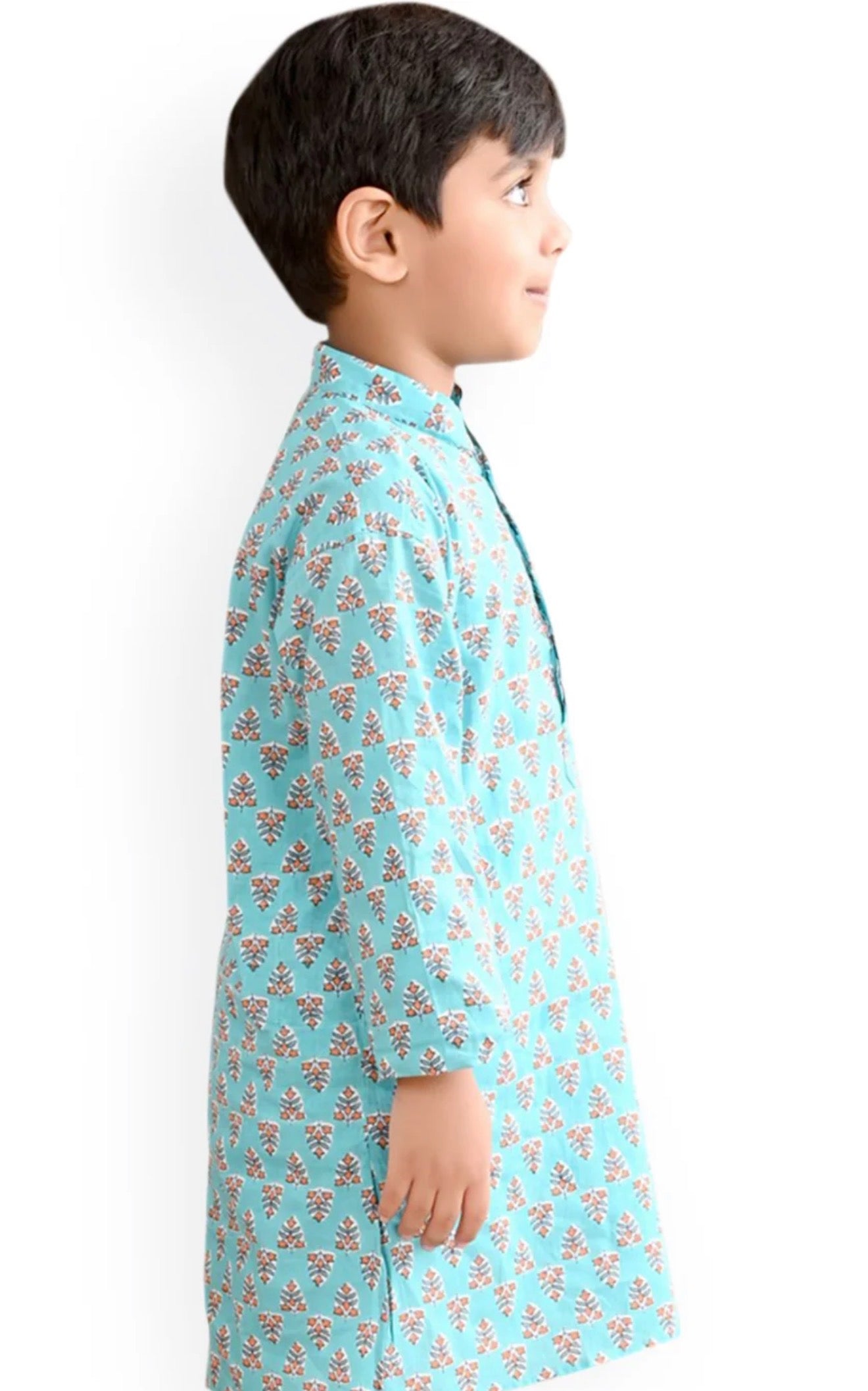 Blue Boys Ethnic Motifs Printed Mandarin Collar Cotton Straight Kurta