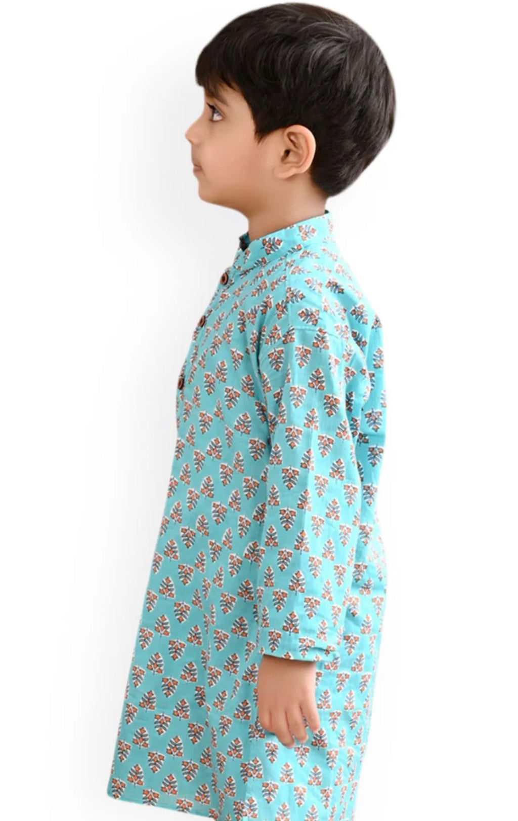 Blue Boys Ethnic Motifs Printed Mandarin Collar Cotton Straight Kurta