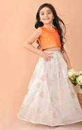 Girls woven design ready to wear lehenga and blouse 4-5y